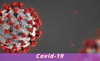Covid-19