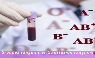 Groupes sanguins et transfusion sanguine