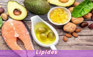 Lipides