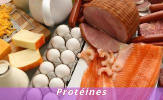 Protéines